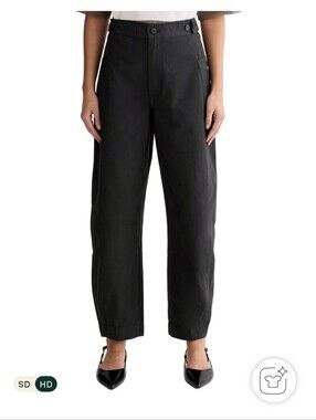 Everlane Fatigue Barrel Pant 12